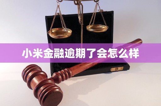 小米随星借app下载_小米随星借受法律保护吗_小米随星借是哪个app