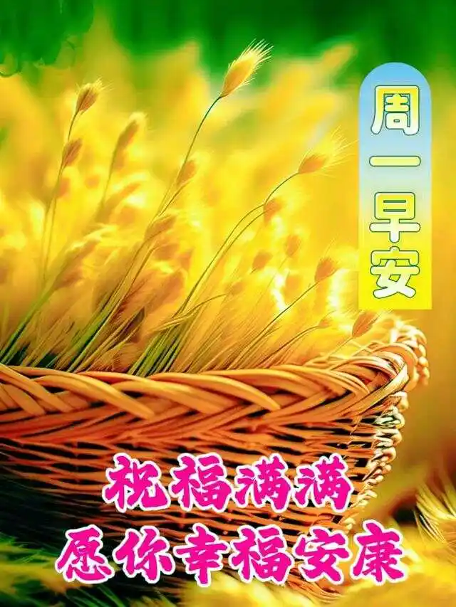 打游戏排行榜手机_打游戏最高分的手机排名_高分手机游戏排行榜