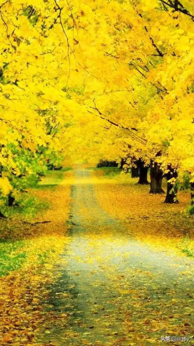 风景游戏手机游戏_手机风景好的游戏_手机游戏风景比较好的游戏