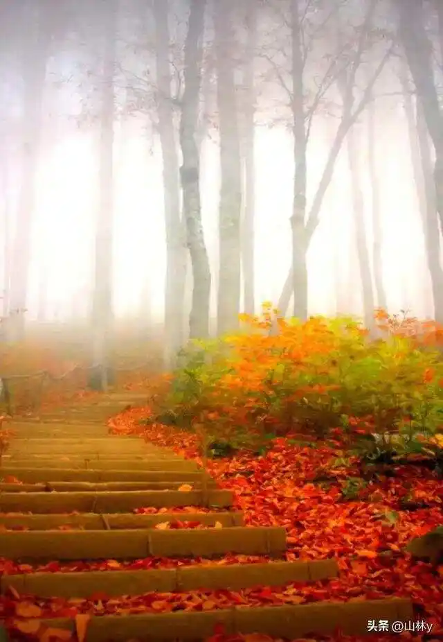 风景游戏手机游戏_手机风景好的游戏_手机游戏风景比较好的游戏