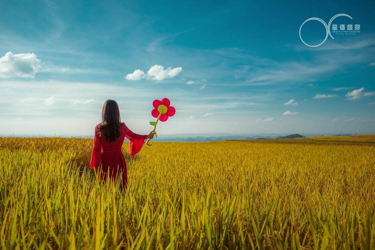 禾夏乘凉梦_夏禾_禾夏文化