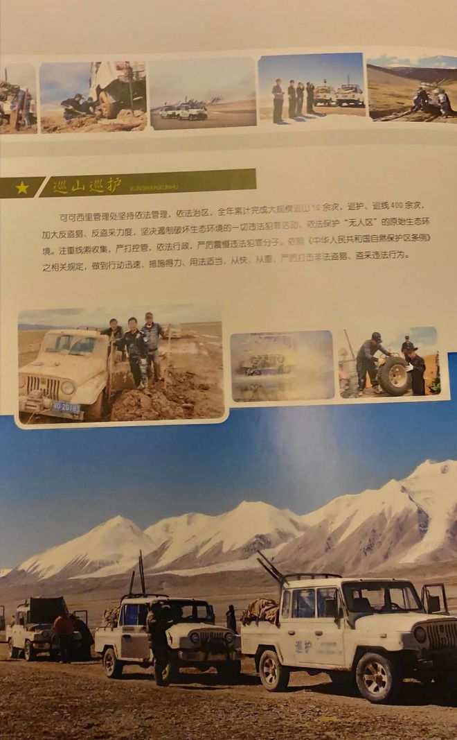 反黄之盾_反黄之盾_反黄之盾