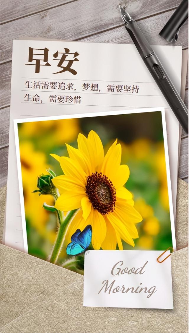 俄电磁轨道炮_内裤的超电磁炮_电磁轨道炮的工作原理