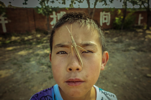 爱拍视频_爱拍视频制作_爱拍视频百科