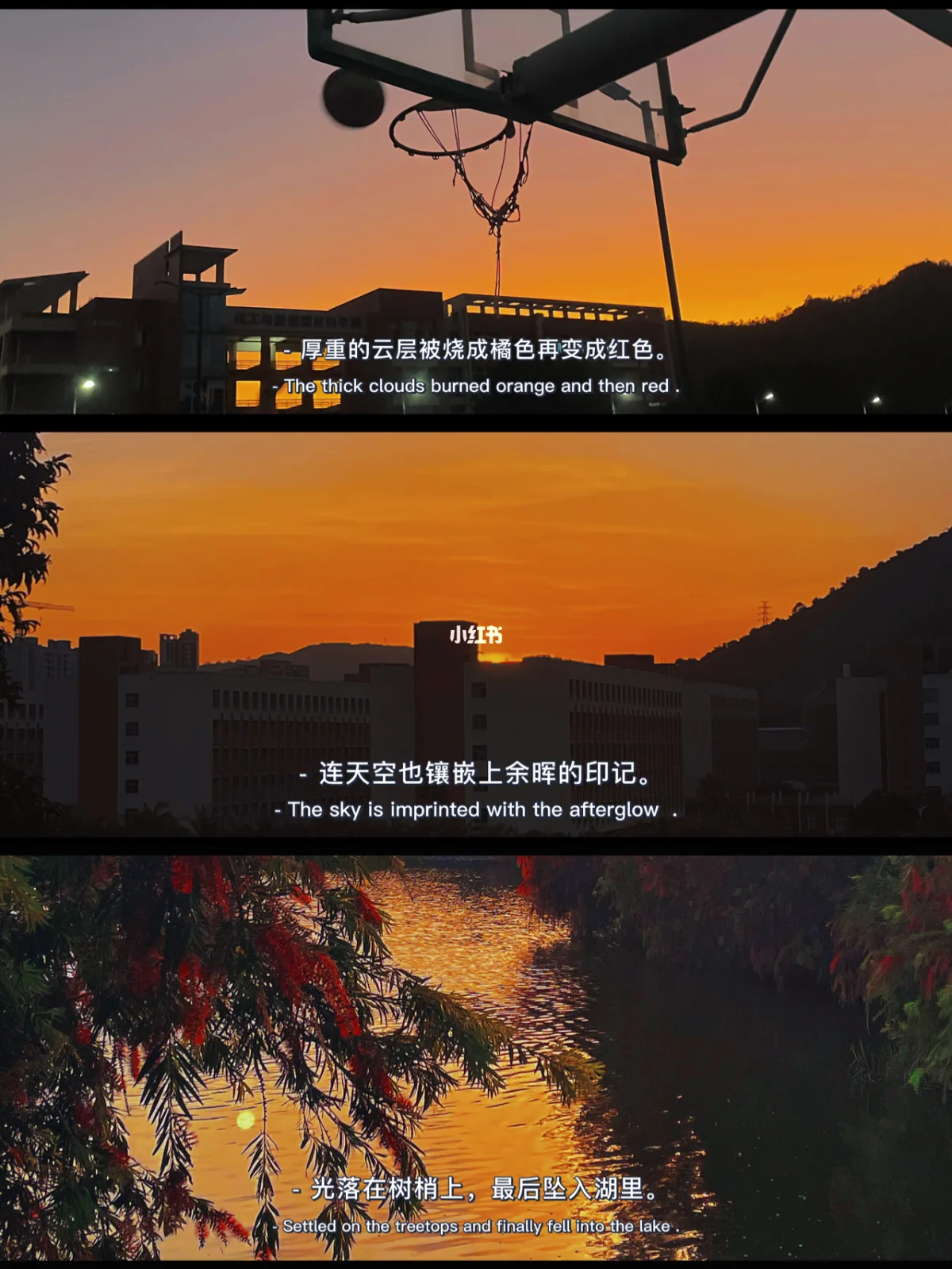 游戏摄影软件_大游戏手机摄影_摄影手机游戏大全