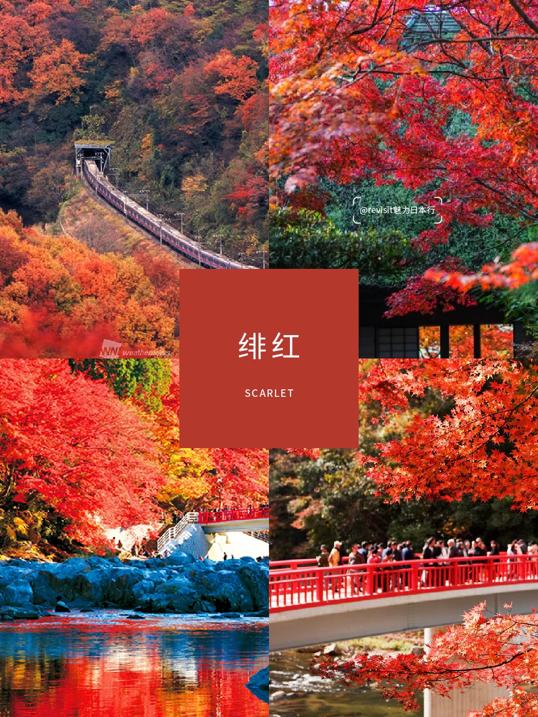 田角陆_田角陆_田角陆