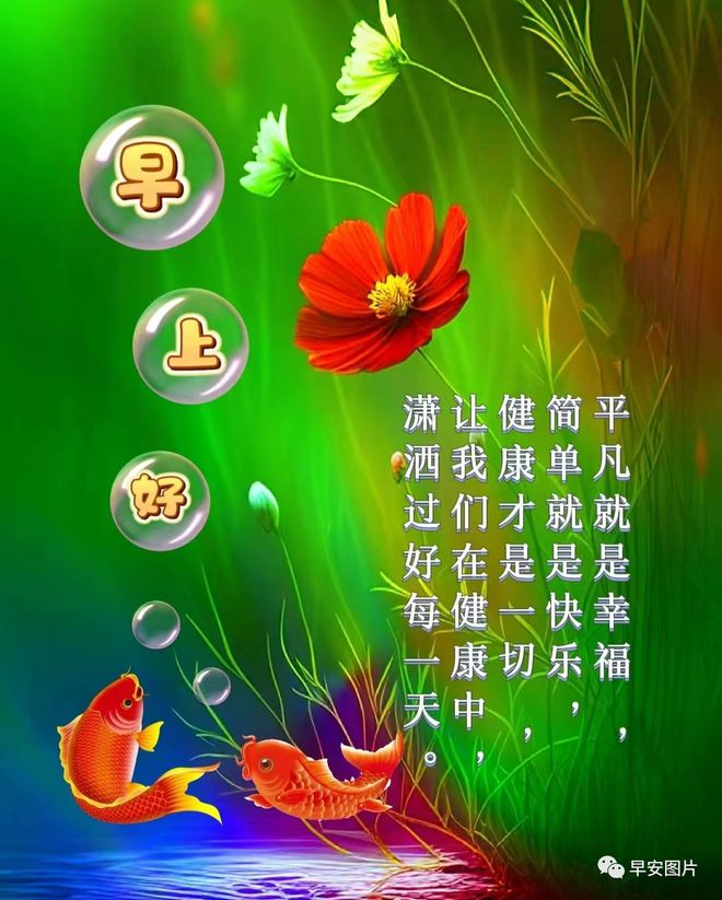善人死亡_善人死亡好玩吗_善人死亡茜