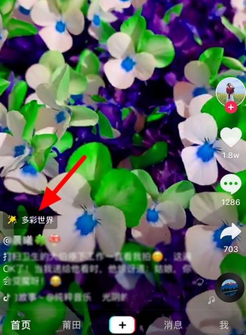 抖音字幕视频教程_抖音上的字幕怎么弄的_怎么抖音字幕