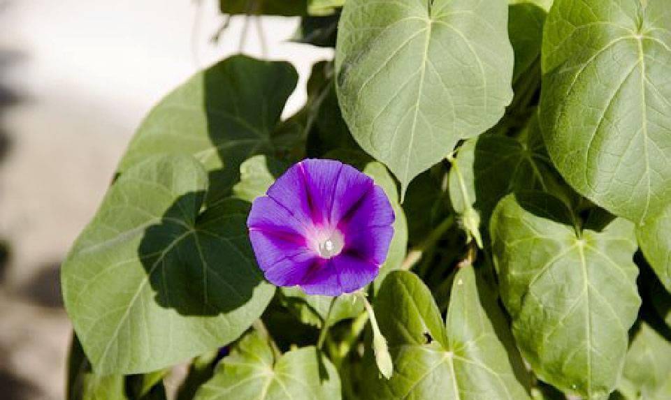 欧特克软件_欧特克_欧特克官网