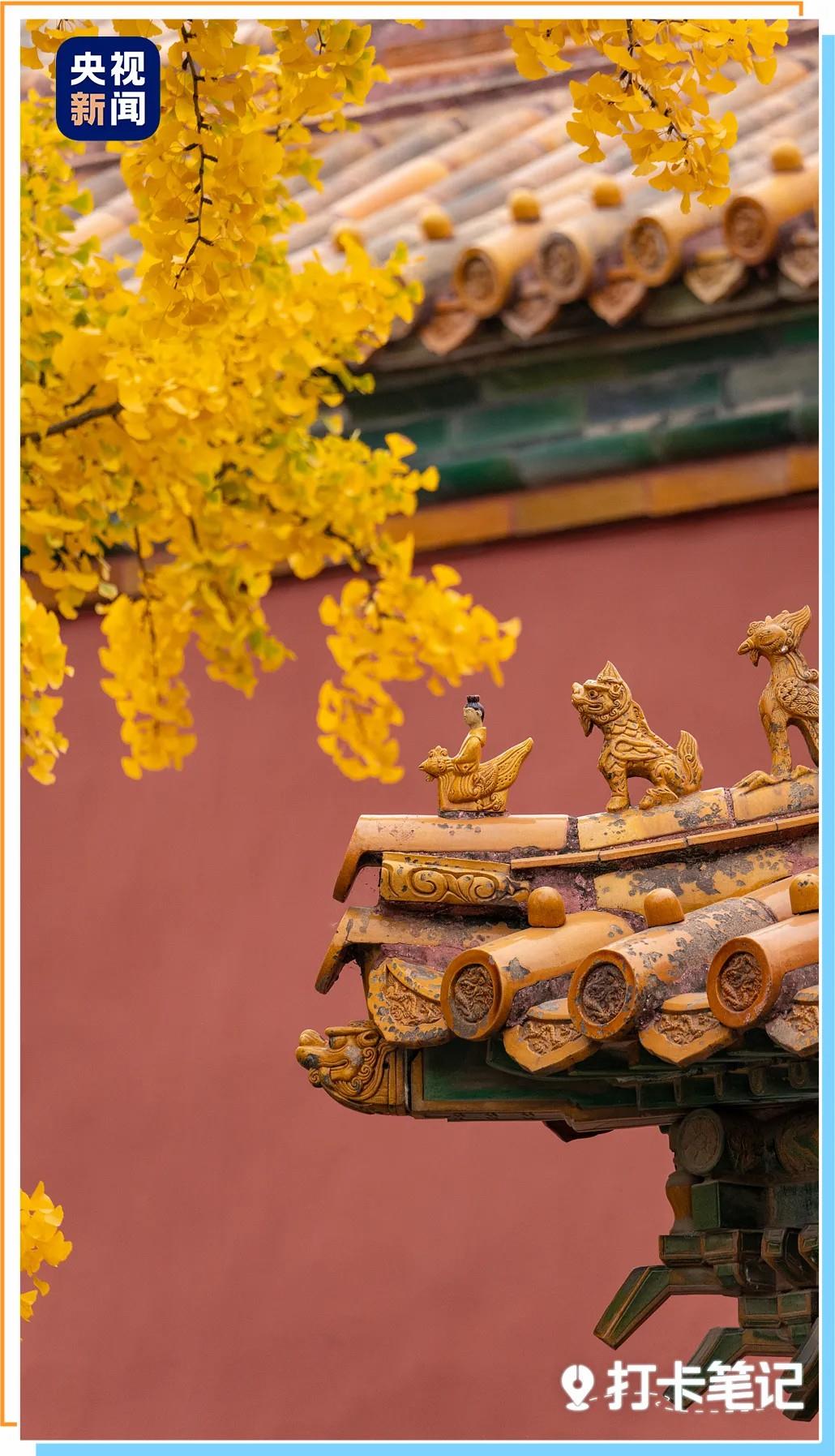 显卡1030和1060区别_显卡1030和960哪个更好_1030显卡