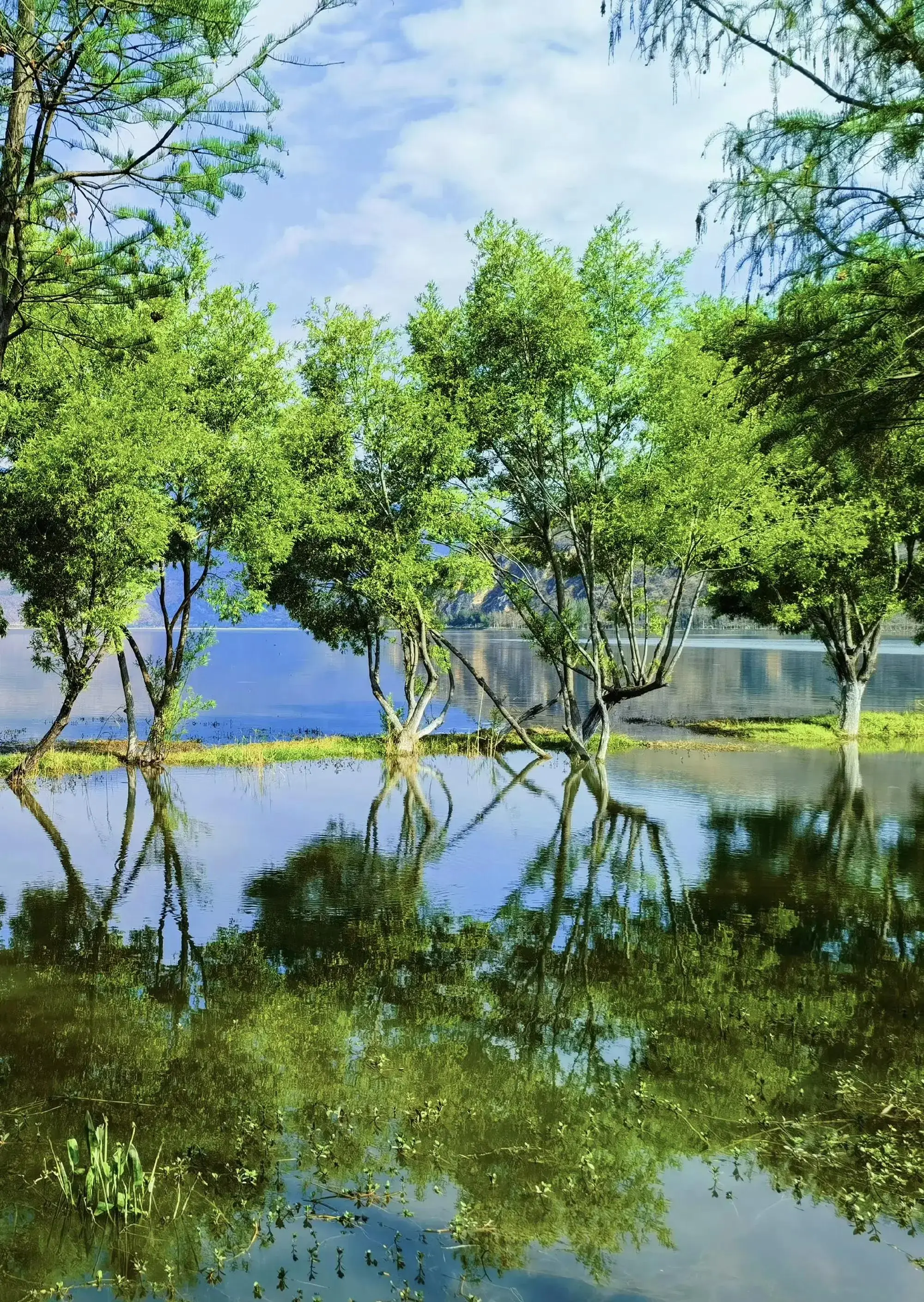 斑点游戏交易平台_斑点大作战下载_斑点手机游戏