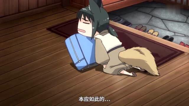 猫神八百万_猫神在故宫_猫神贝斯特