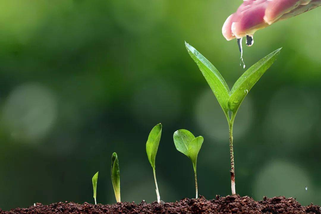 天有凶年_2019年有多少天_有天有地