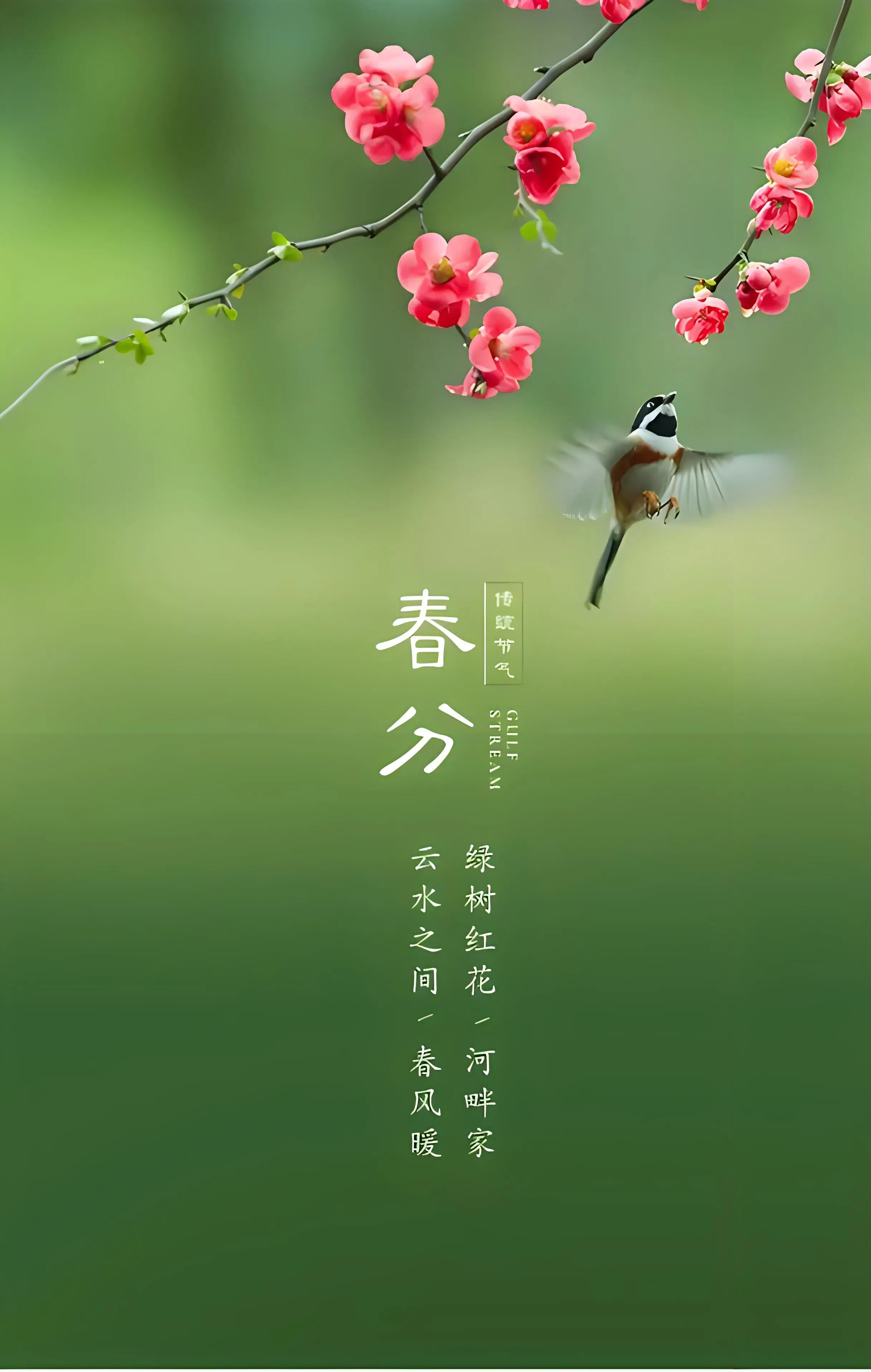 天有凶年_有天有地_2019年有多少天