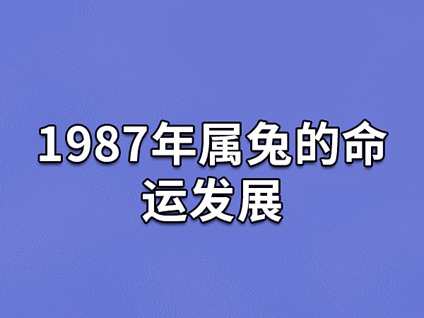 1987年出生属什么_出生于1987年的人属什么_1987年出生的人属相