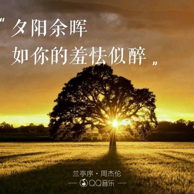 兔子大便湿软_软又湿_湿软的泥土