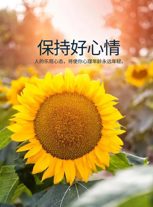 arzone手机游戏_手机游戏推荐_手机游戏手游