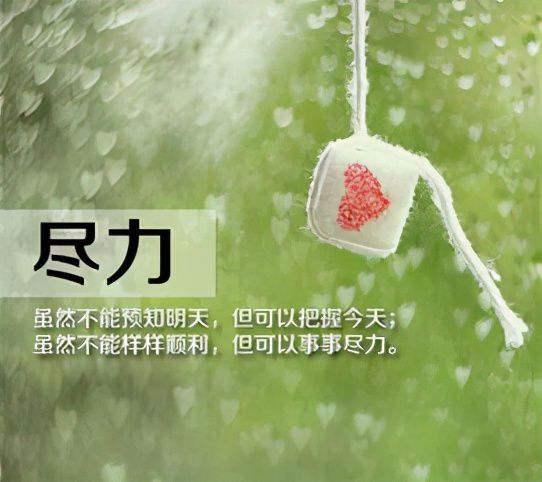 你什么都没看见_看见没有壳的蜗牛是什么兆头_看见没有这个就叫专业