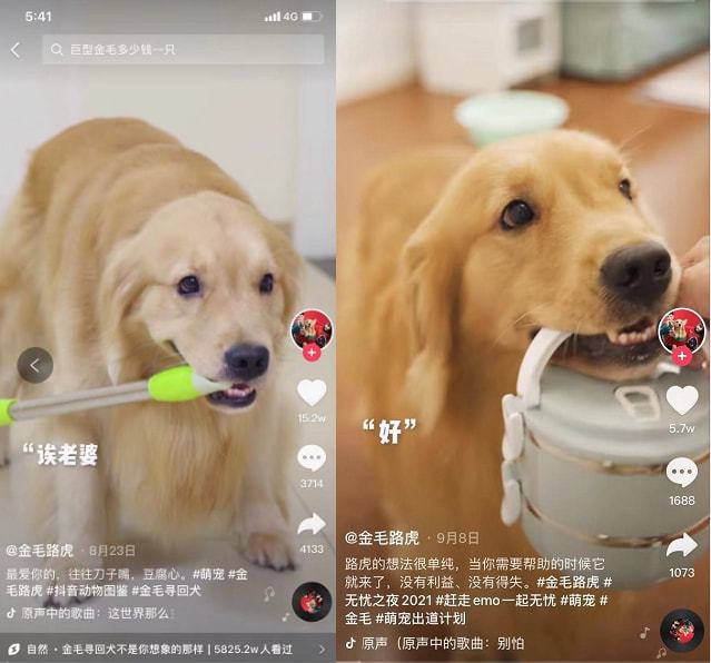 快手直播带货需要什么条件_做快手直播需要准备什么东西_快手直播带货需要具备什么条件
