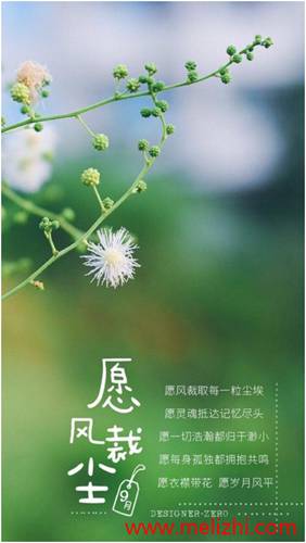 宅男的世界：并非懒散孤独，而是梦想与热情的栖息之地
