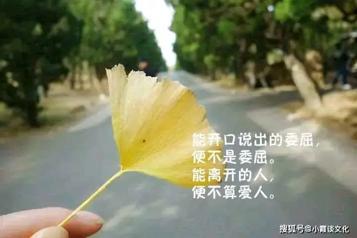 黑暗浮士德是男是女_黑暗浮士德_黑暗浮士德和梅菲斯特什么关系