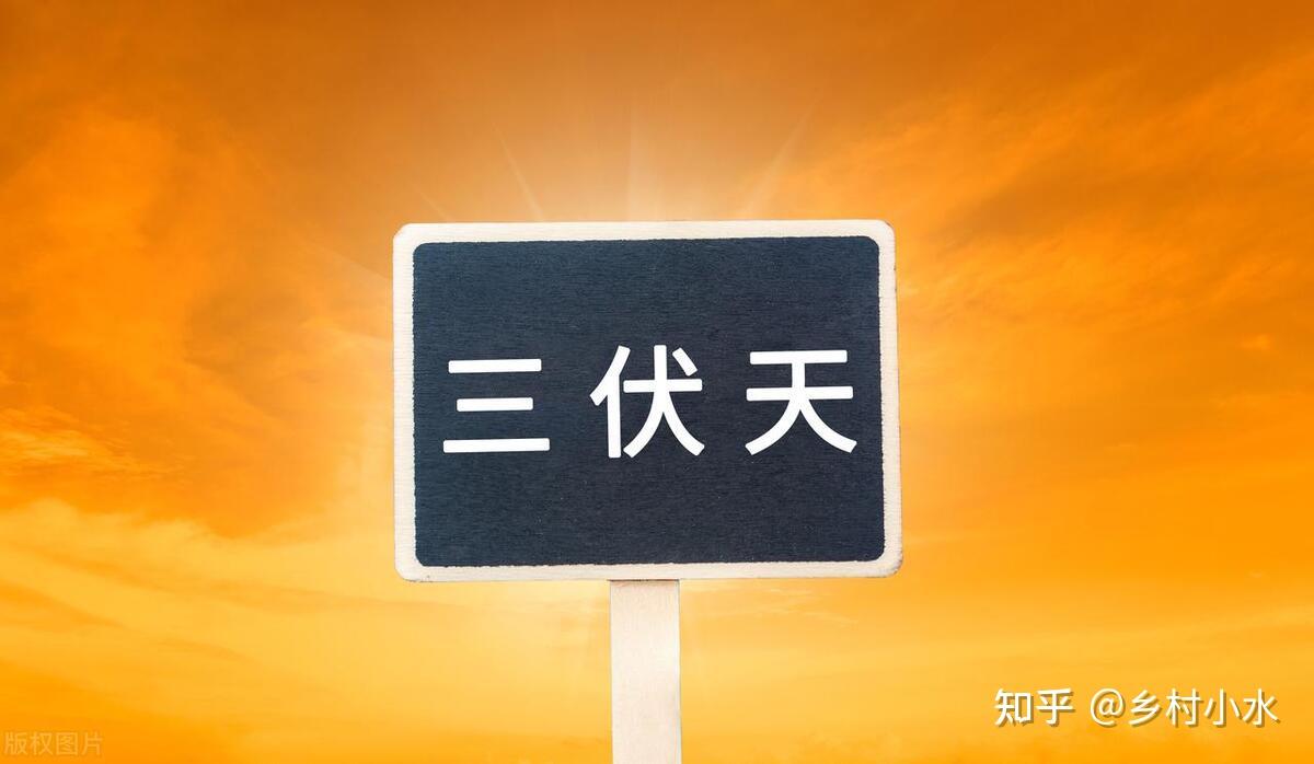 2033年三伏天时间表_2023年三伏天是多少天_2023年三伏天时间表