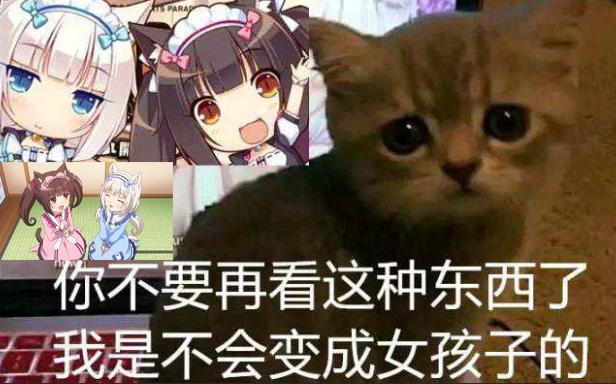 抖音可以直播手机游戏嘛_抖音直播手机游戏可以赚钱吗_抖音直播手机游戏可以连麦吗