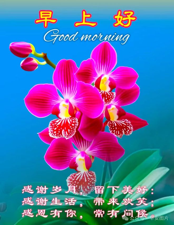月经_7月1_月亮
