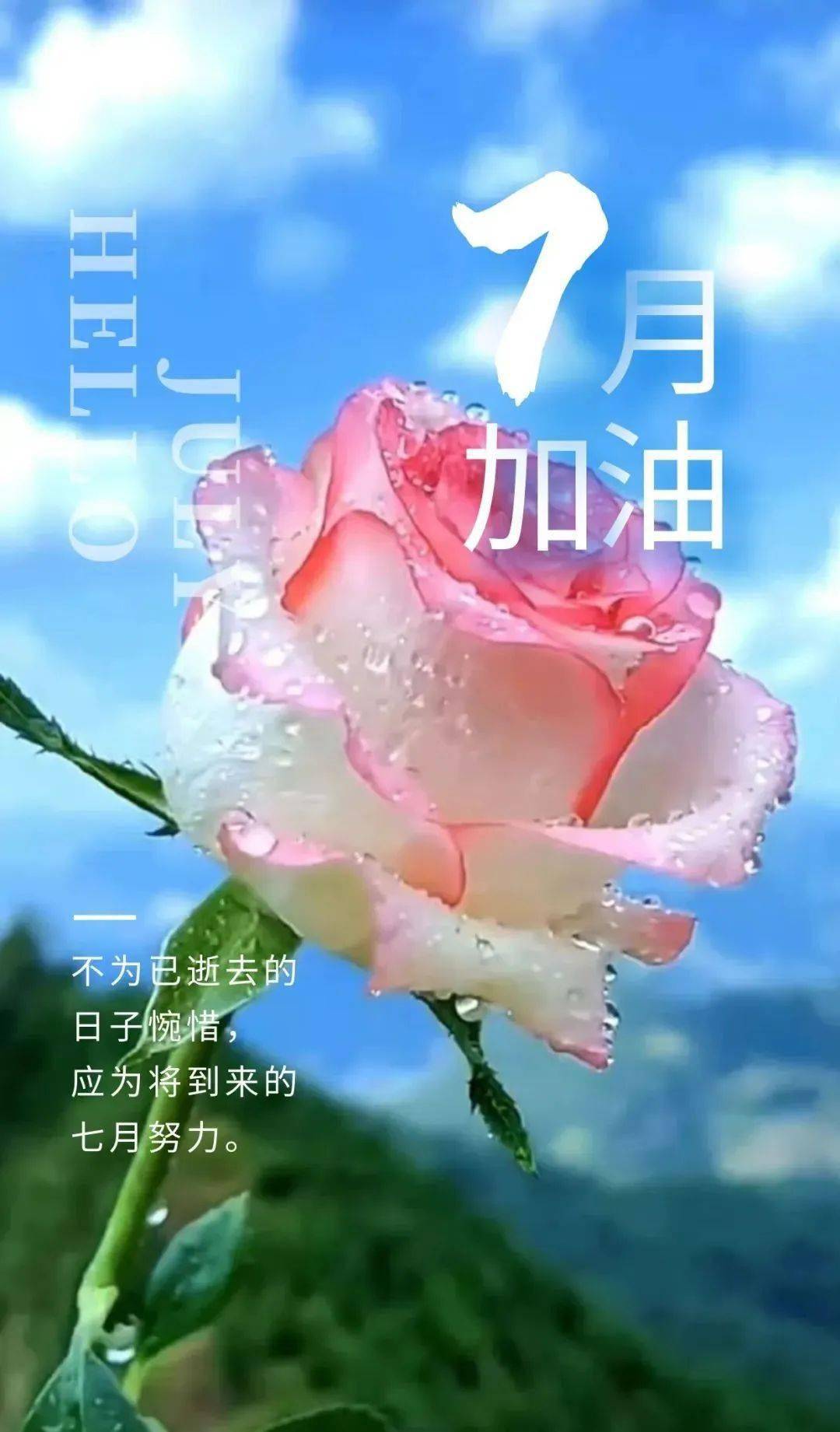 月亮_月经_7月1