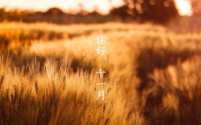年月日的日子_2012年11月29日是什么日子_月/日/年
