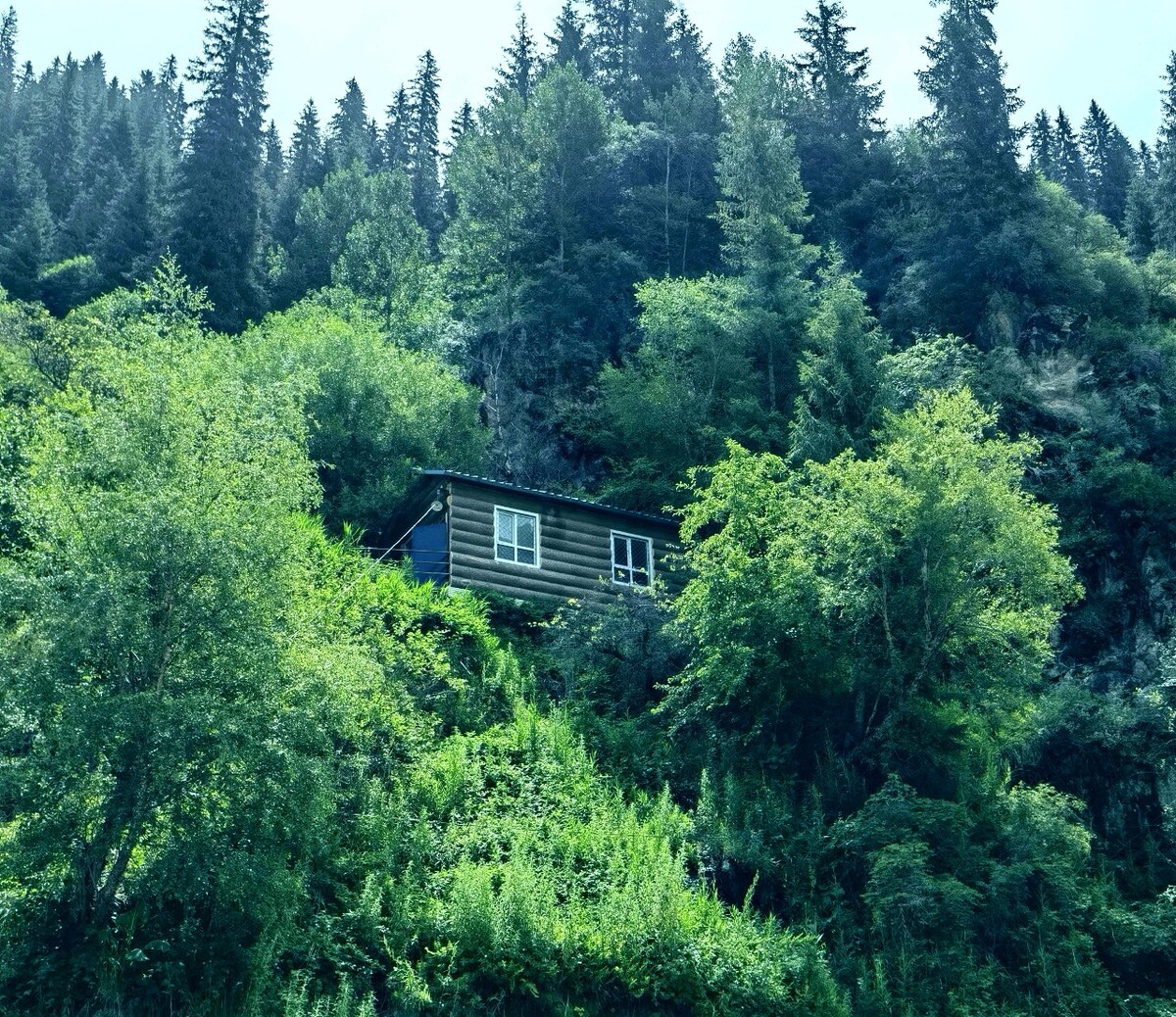 美国电影林中小屋观看_林中小屋国产剧_林中小屋在线观看