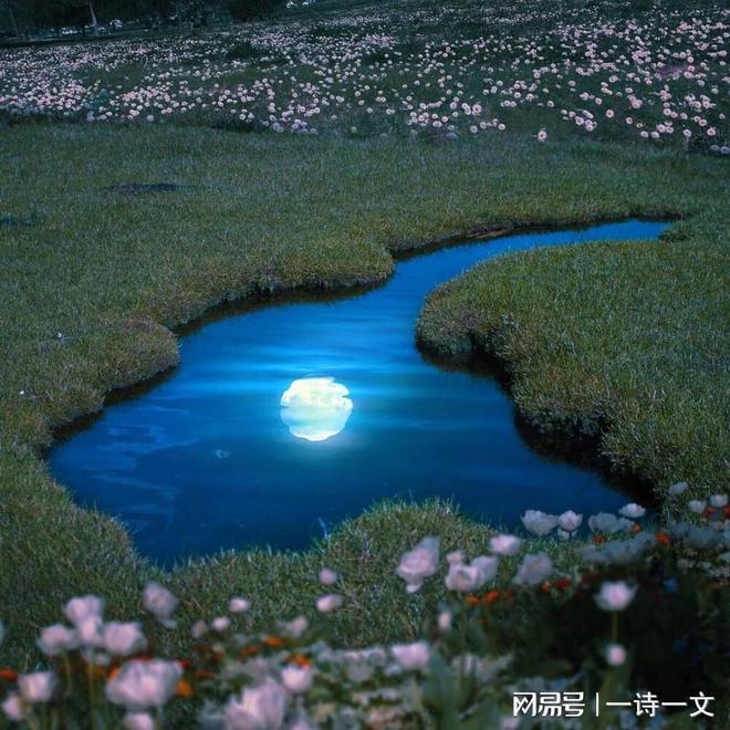 月影魅像_月影魅像流程图_月影魅像萌娘百科