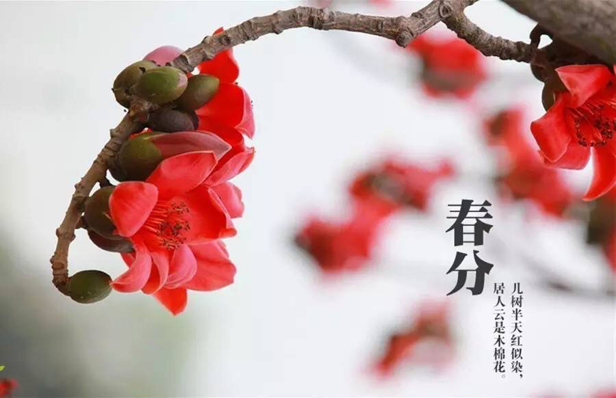 春分的寓意_春分的寓意和象征_寓意春分的小名