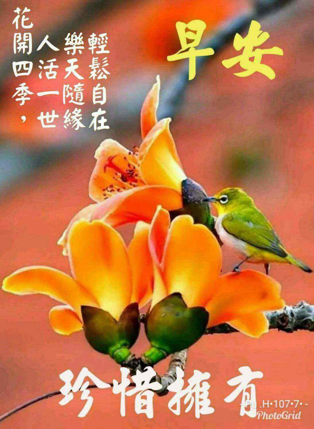 陌陌video_陌陌video_陌陌video