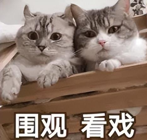 疯狂机场手机游戏攻略_疯狂机场手机版_疯狂机场手机游戏