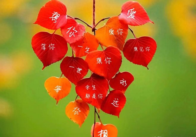 米雅诗防脱洗发露_米雅_米雅的精灵王国中文版免费观看