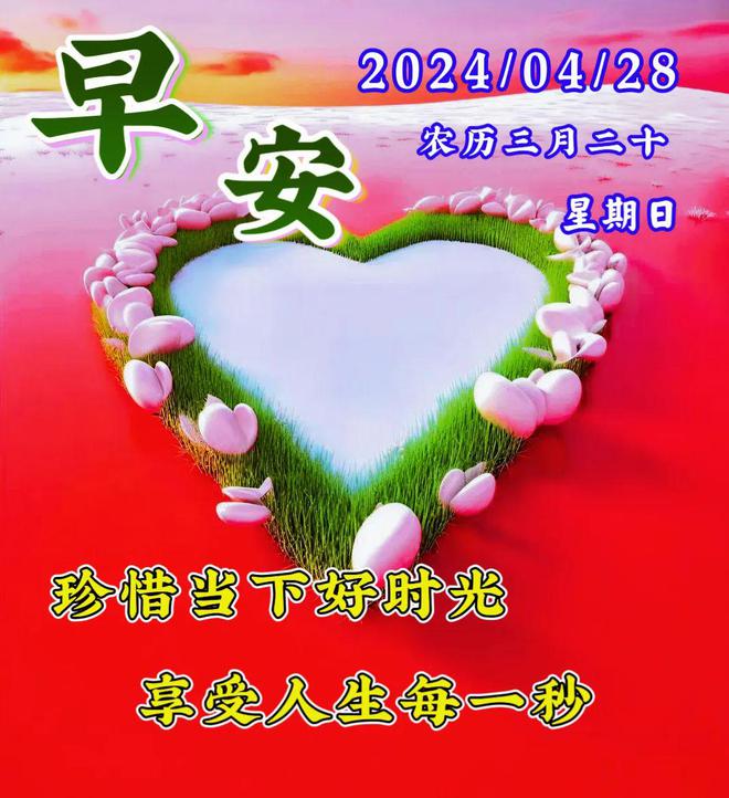 茱莉亚安_安茱莉亚朱莉多高_安茱莉亚罗伯茨