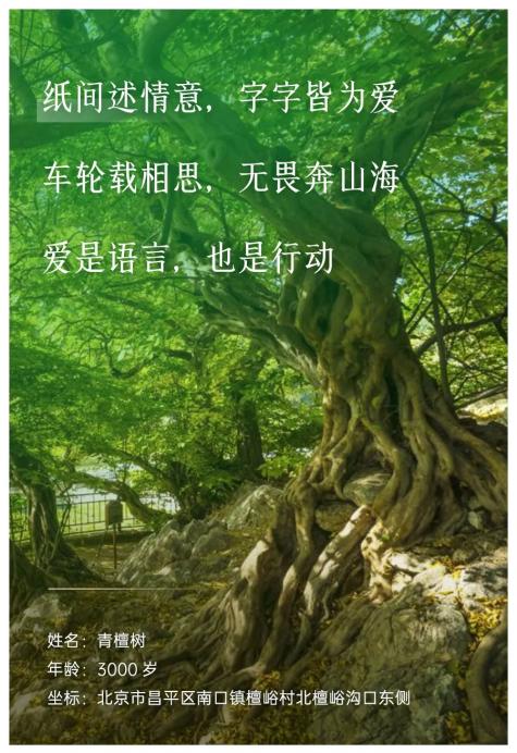 2031年七夕日期_2023年七夕节是几月几日_2027年七夕节是哪一天