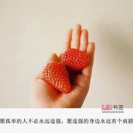 任行黄底福字与红底福字_黄任行_行车记录仪任e行