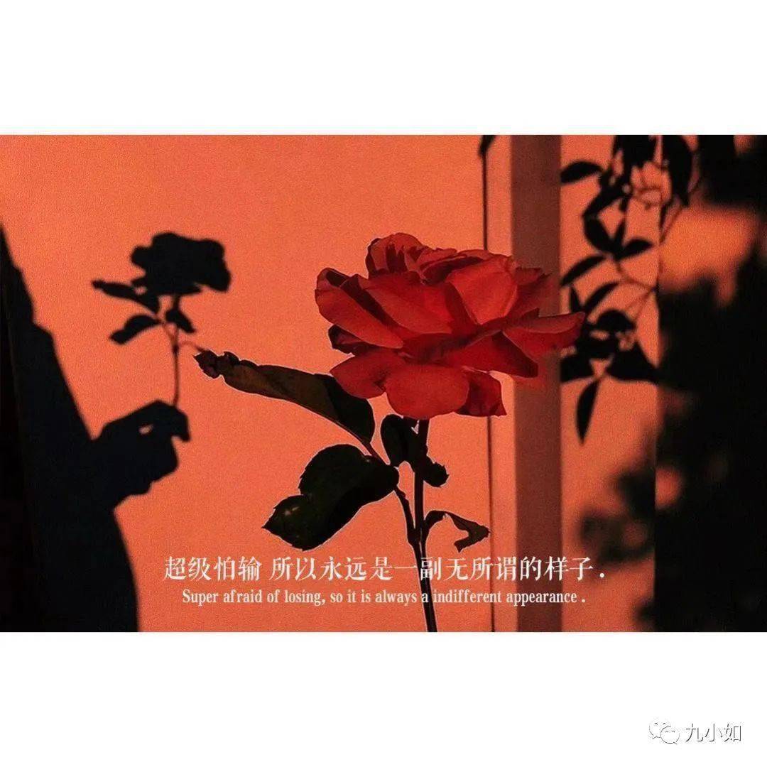 任行黄底福字与红底福字_黄任行_行车记录仪任e行