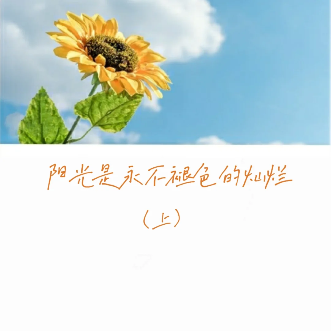 曼联_曼城_特曼