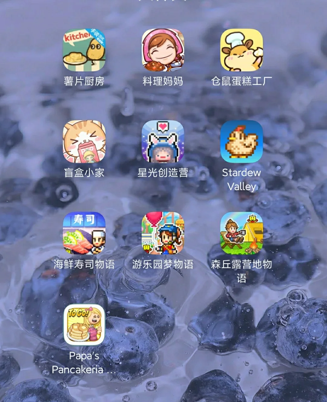 经营游戏苹果_ios手机游戏经营小游戏_经营游戏手机游戏