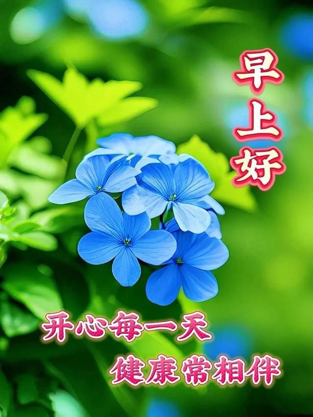 手机游戏捕鱼_jva的手机游戏_手机游戏手游