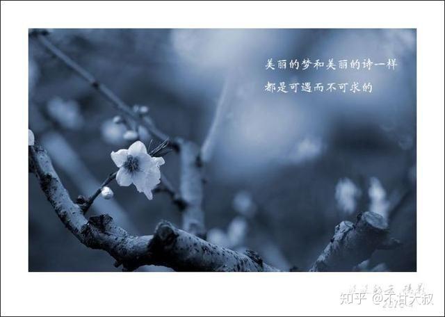铃芽_铃芽之旅读后感_铃芽之旅观看