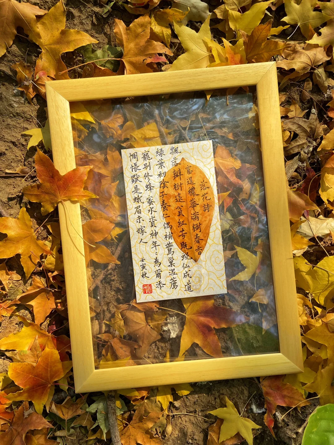 末伏_末伏什么意思_末伏多少天