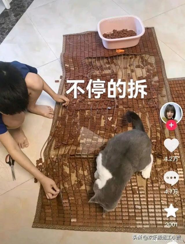 蹦蹦兔小游戏_蹦蹦兔手机游戏_蹦蹦兔玩法