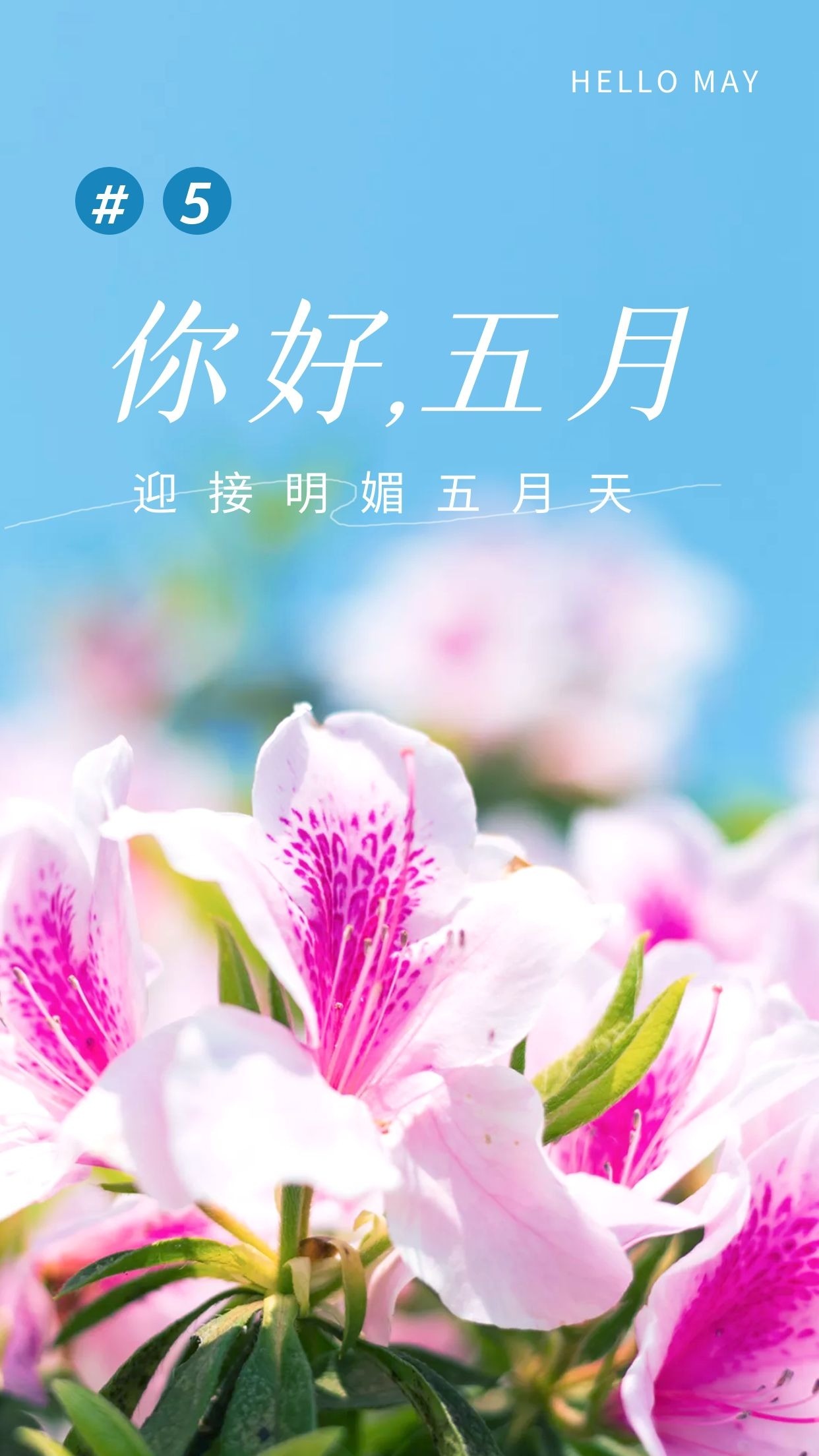 5月1_月夜忆舍弟唐杜甫_月嫂