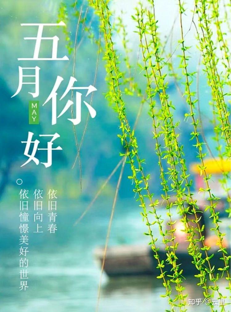 月嫂_月夜忆舍弟唐杜甫_5月1