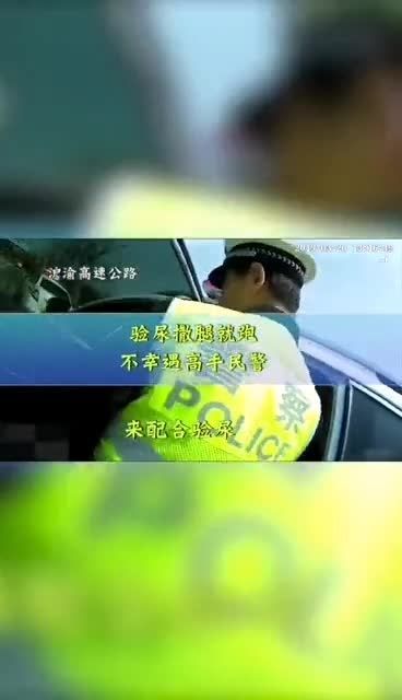 毒驾模拟_毒驾手机游戏_毒毒开车app