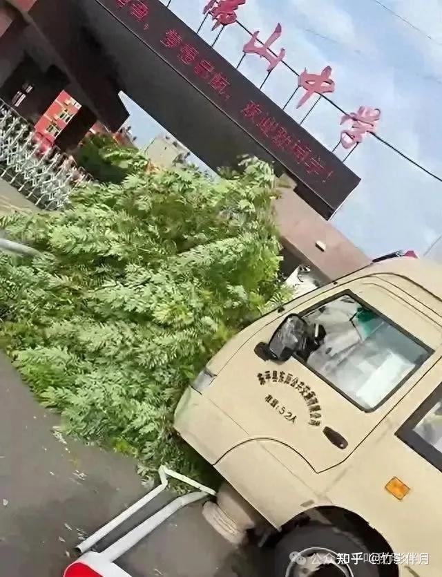 毒驾手机游戏_毒驾模拟_毒毒开车app